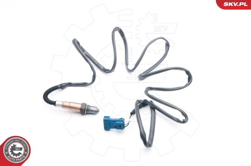 Oxygen Sensor